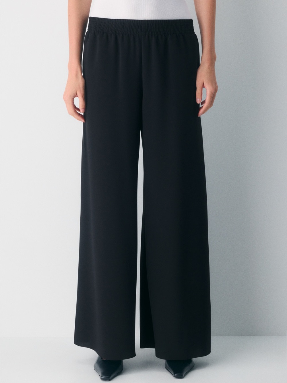 New Aritzia Parker Palazzo Pants